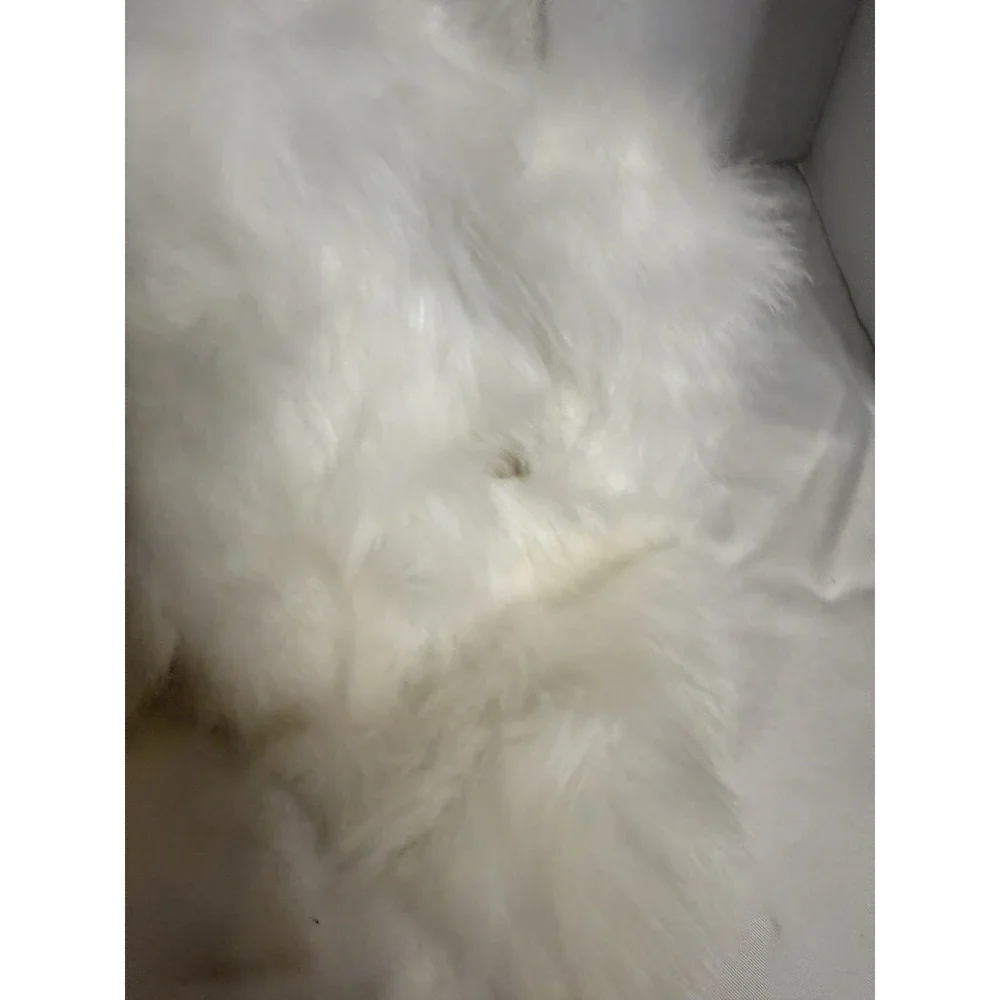 New Halloween Llama Alpaca Hairy White Mask Latex Horrifying Adult Scary 1sz